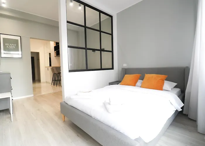Old Center Calea Victoriei, Star Apartament *